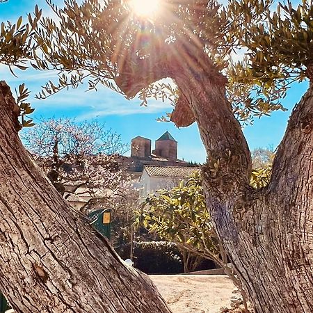 Melisande Au Pays Des Orjouliers Saint-Jean-de-Fos Zewnętrze zdjęcie