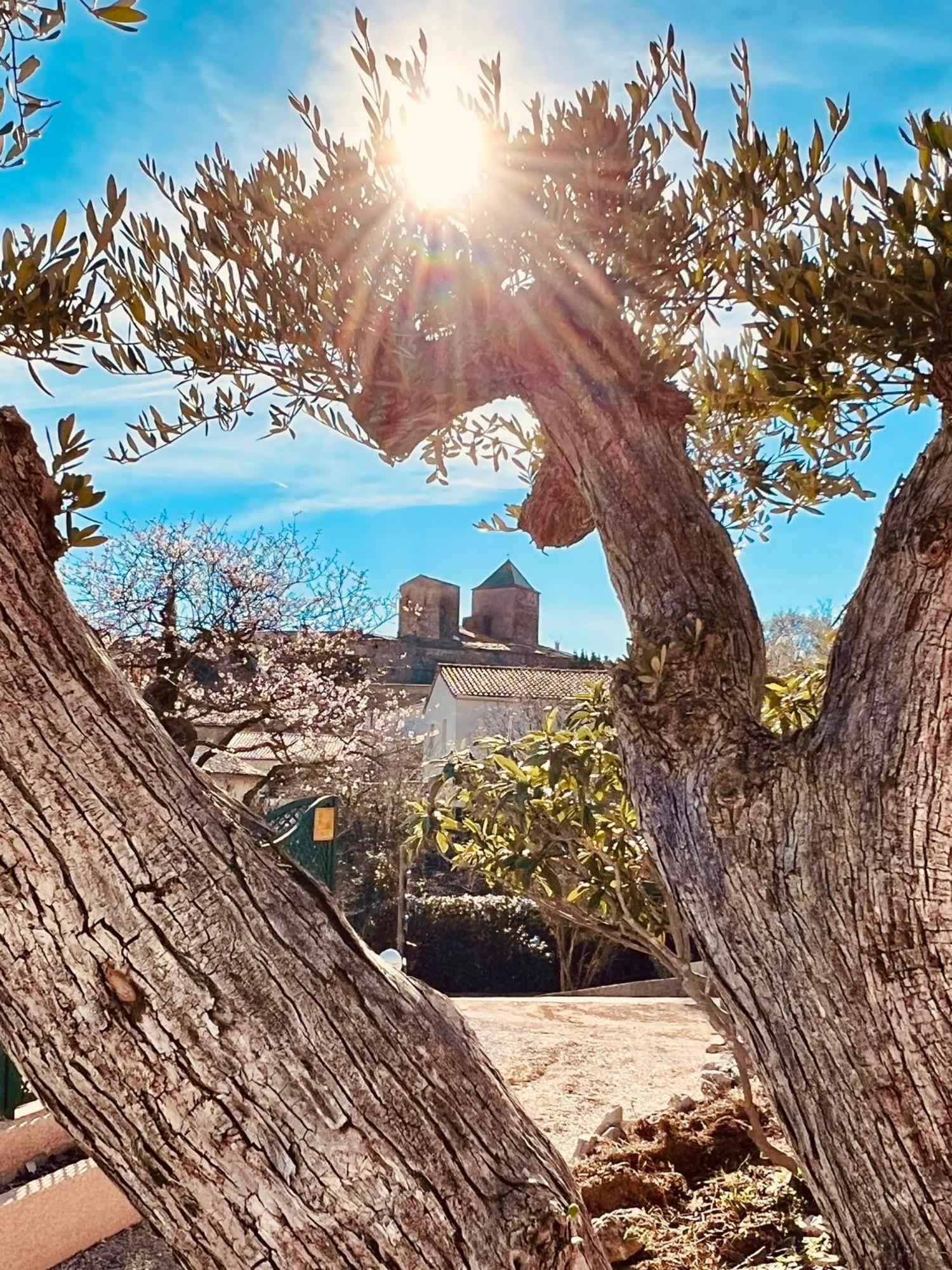 Melisande Au Pays Des Orjouliers Saint-Jean-de-Fos Zewnętrze zdjęcie