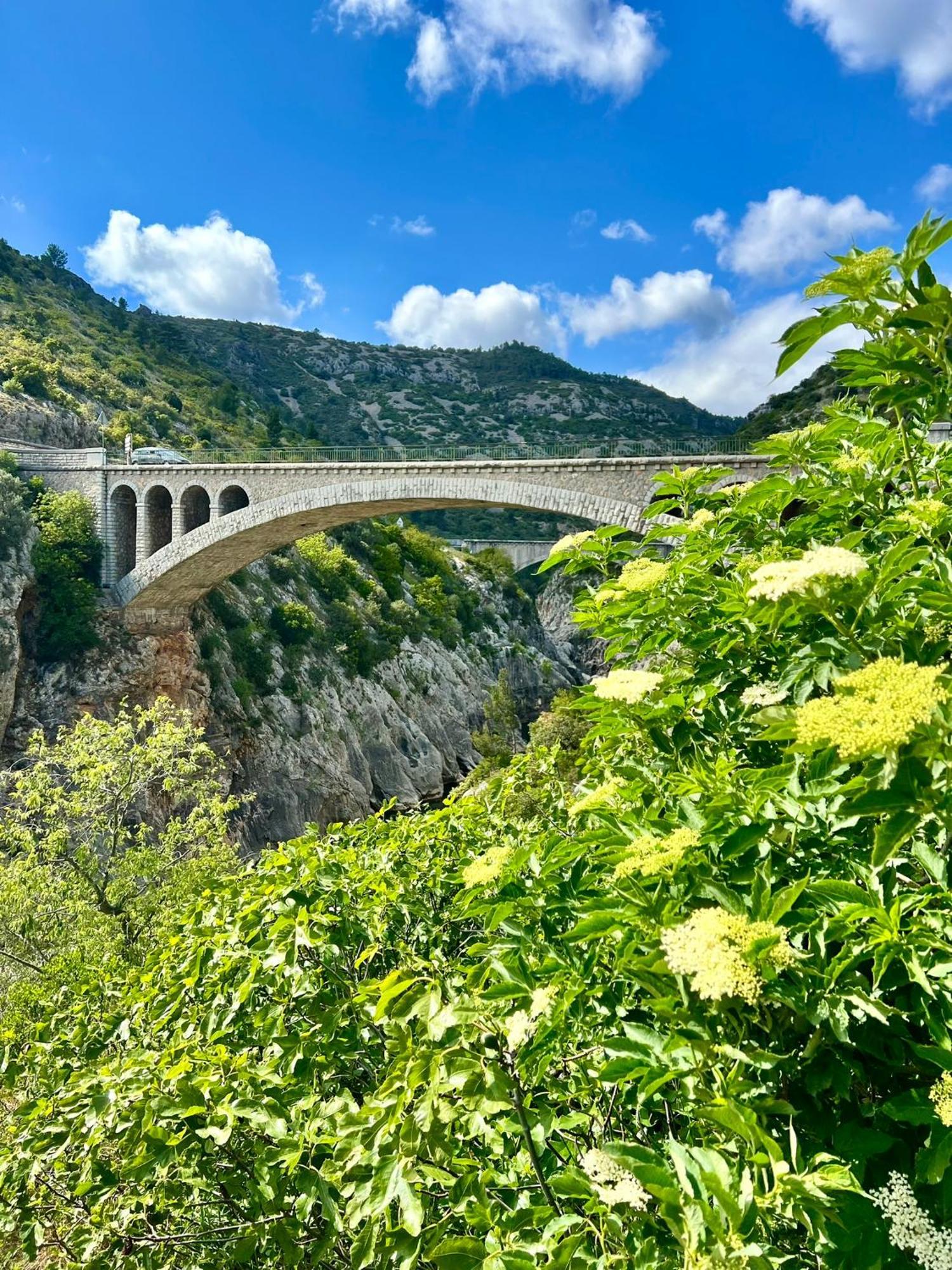 Melisande Au Pays Des Orjouliers Saint-Jean-de-Fos Zewnętrze zdjęcie